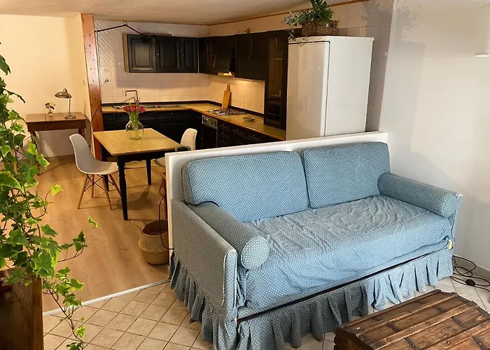 Apartament z 1 sypialnią